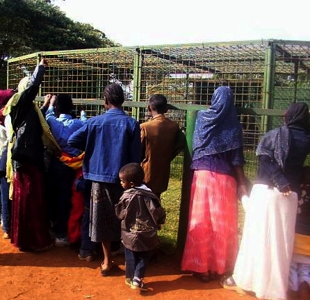Zoo day for refugees at Nairobi Zoo