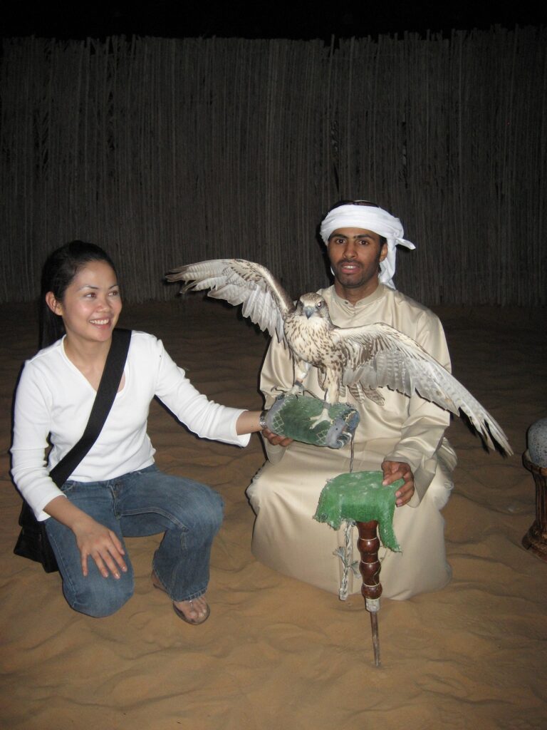 Dubai falcon