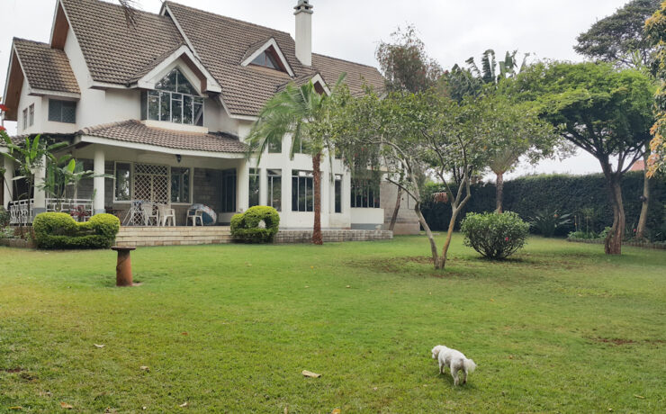 EE71E823 D7E9 4F5F B3DE FB3EB1DDF896