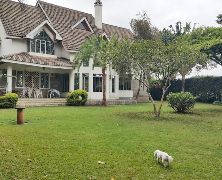 EE71E823 D7E9 4F5F B3DE FB3EB1DDF896