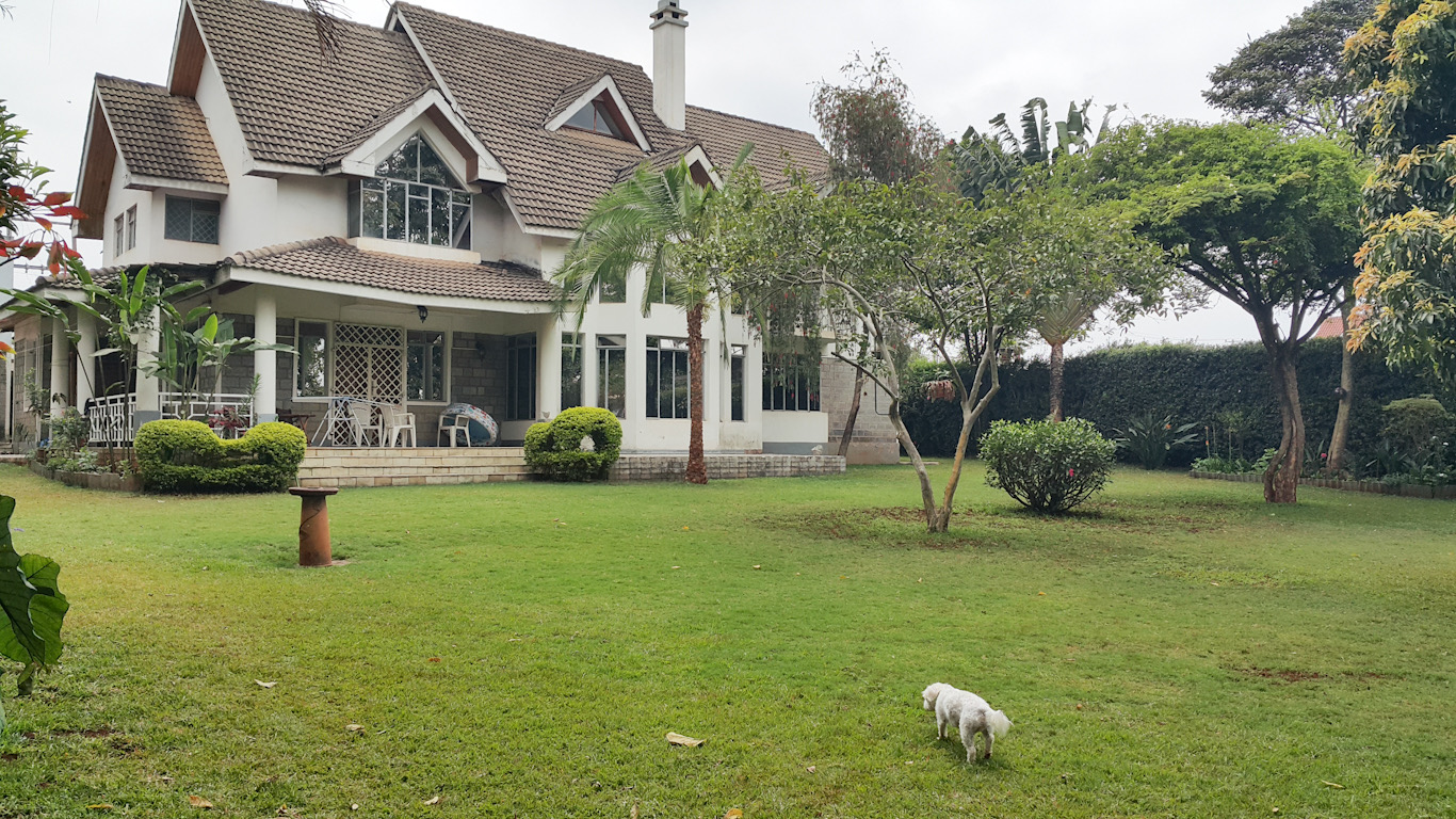 EE71E823 D7E9 4F5F B3DE FB3EB1DDF896