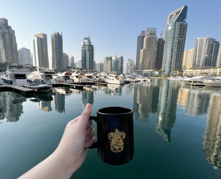 920EA57E ED7C 462D BA55 875E9977A9A6