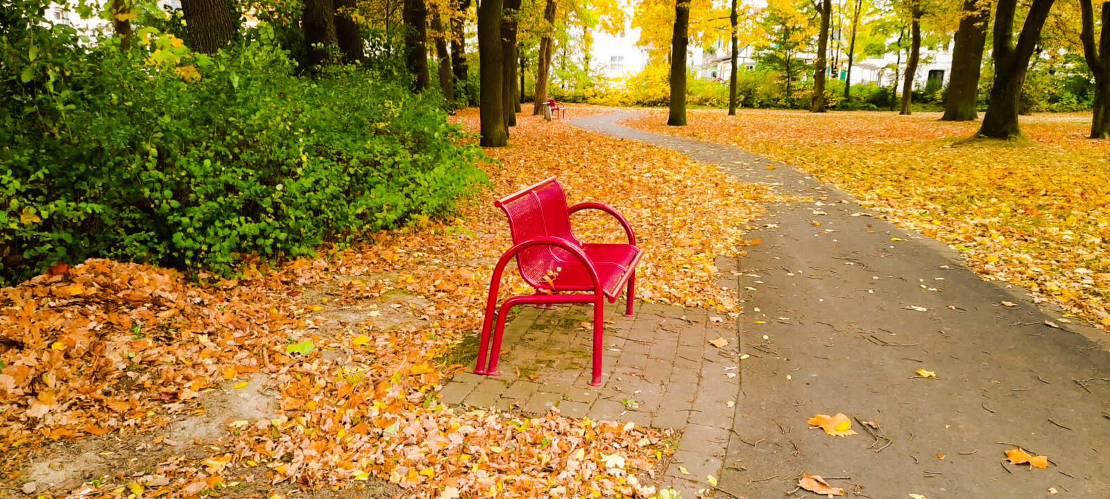 Benches of autumn