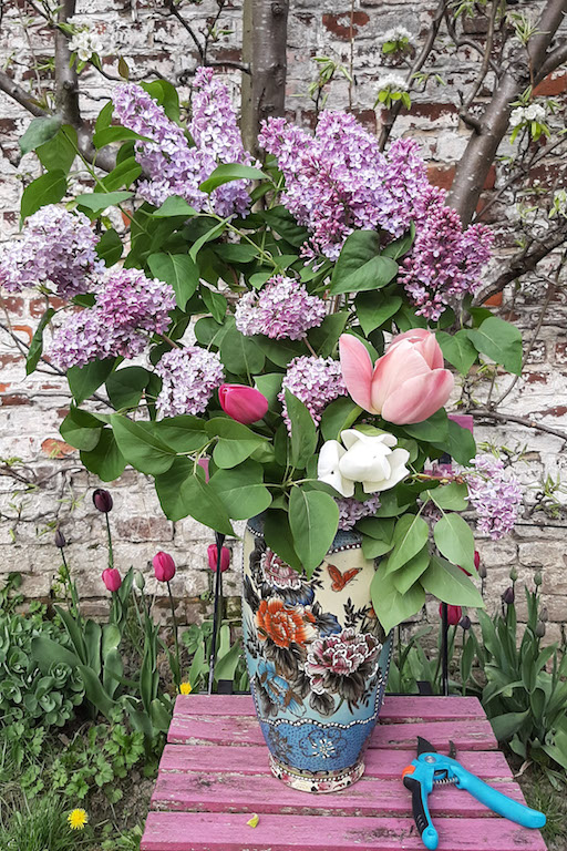 buddleia and tulip flowers from city gardening