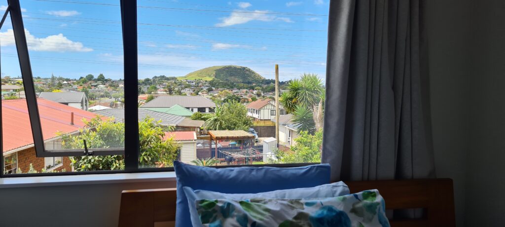 A view from a living room in Auckland.