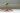 micheile henderson lZ 4nPFKcV8 unsplash