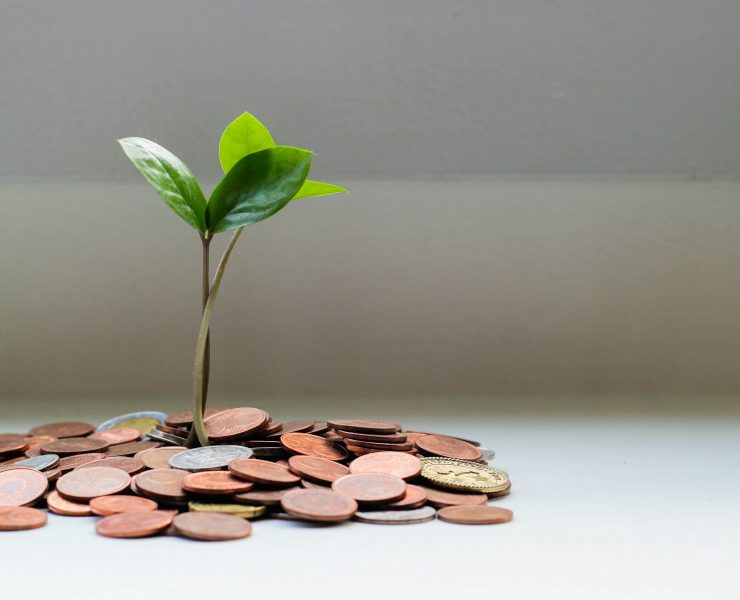 micheile henderson lZ 4nPFKcV8 unsplash