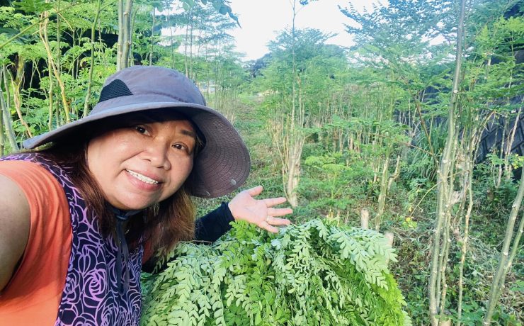 496223508 9808074819280384 5807638077425023988 n