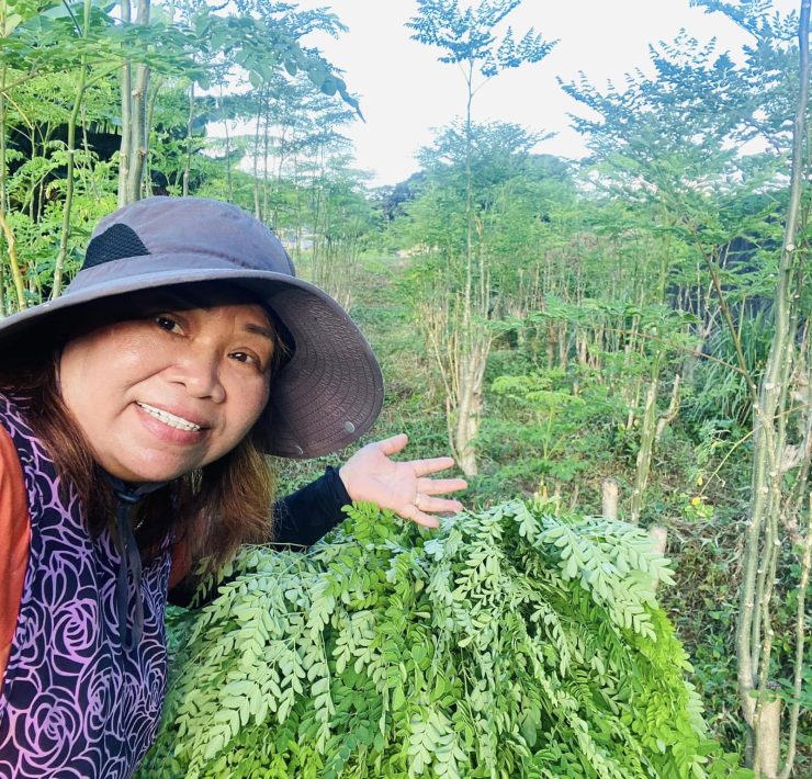 496223508 9808074819280384 5807638077425023988 n