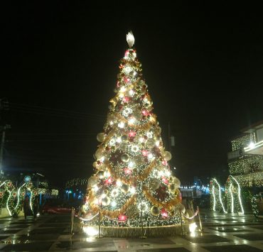 lhar capili hSPr3dSA uE unsplash